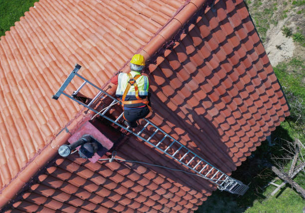 Best Roof Moss and Algae Removal  in Kingsville, TX